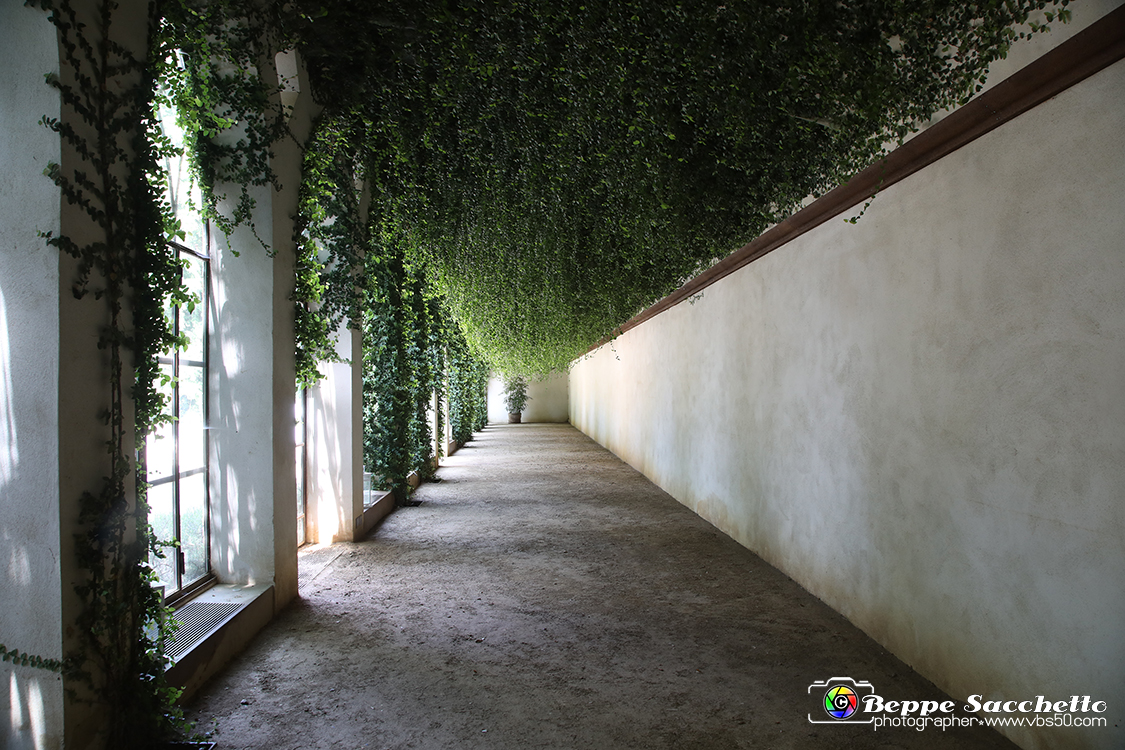 VBS_1504 - Castello di Miradolo - Mostra Oltre il giardino l'Abbecedario di paolo Pejrone.jpg